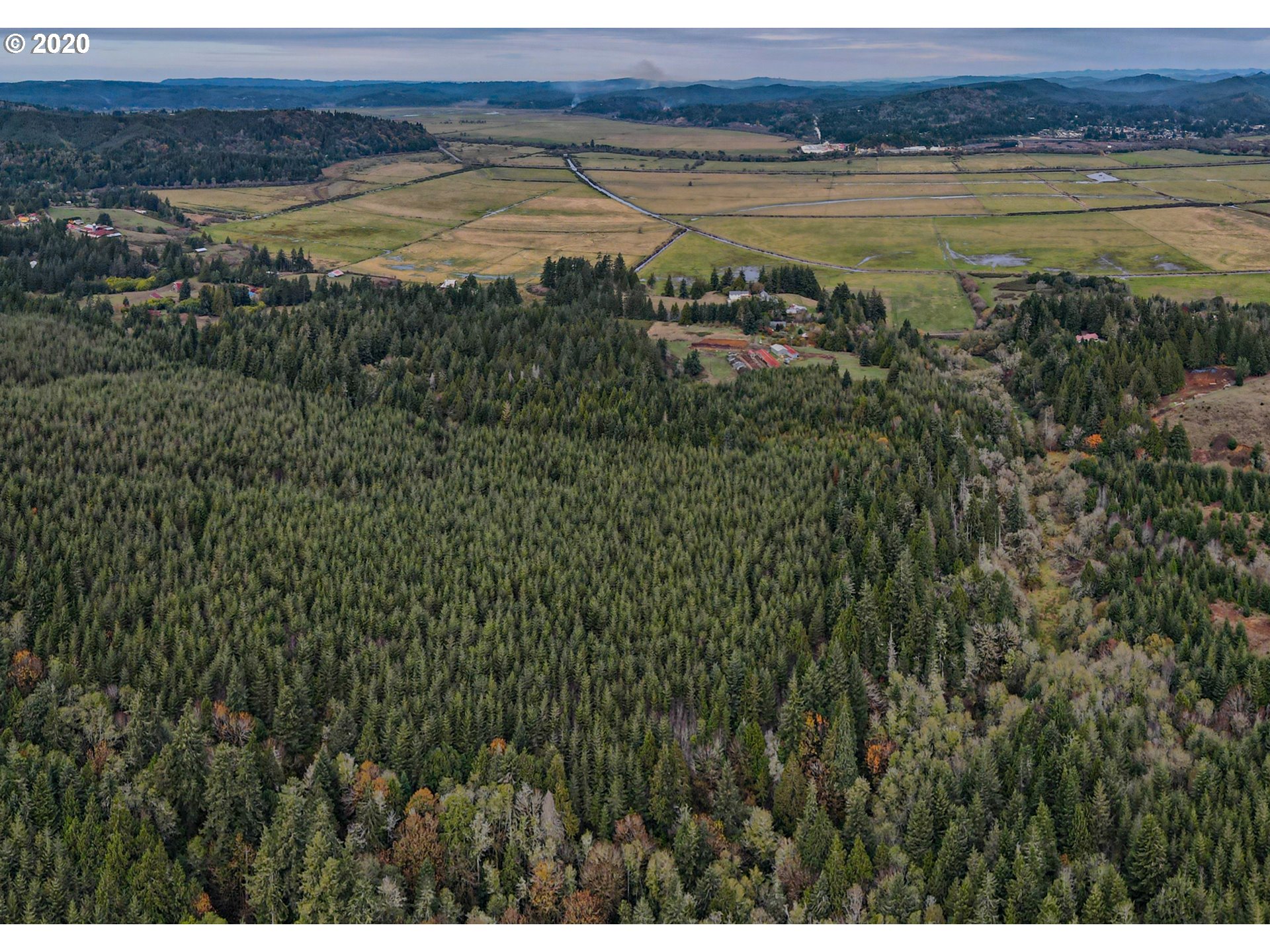 0 Fat Elk Road Coquille, OR 97423 - Photo 8 of 12