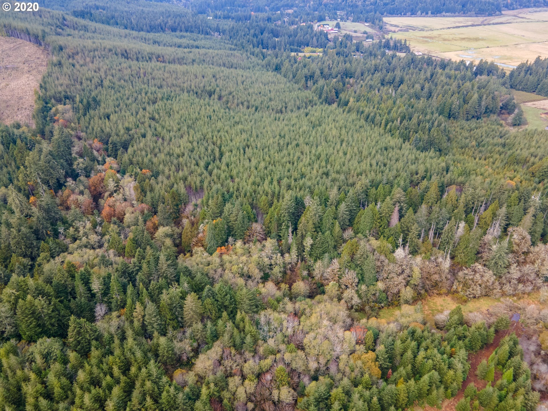0 Fat Elk Road Coquille, OR 97423 - Photo 9 of 12