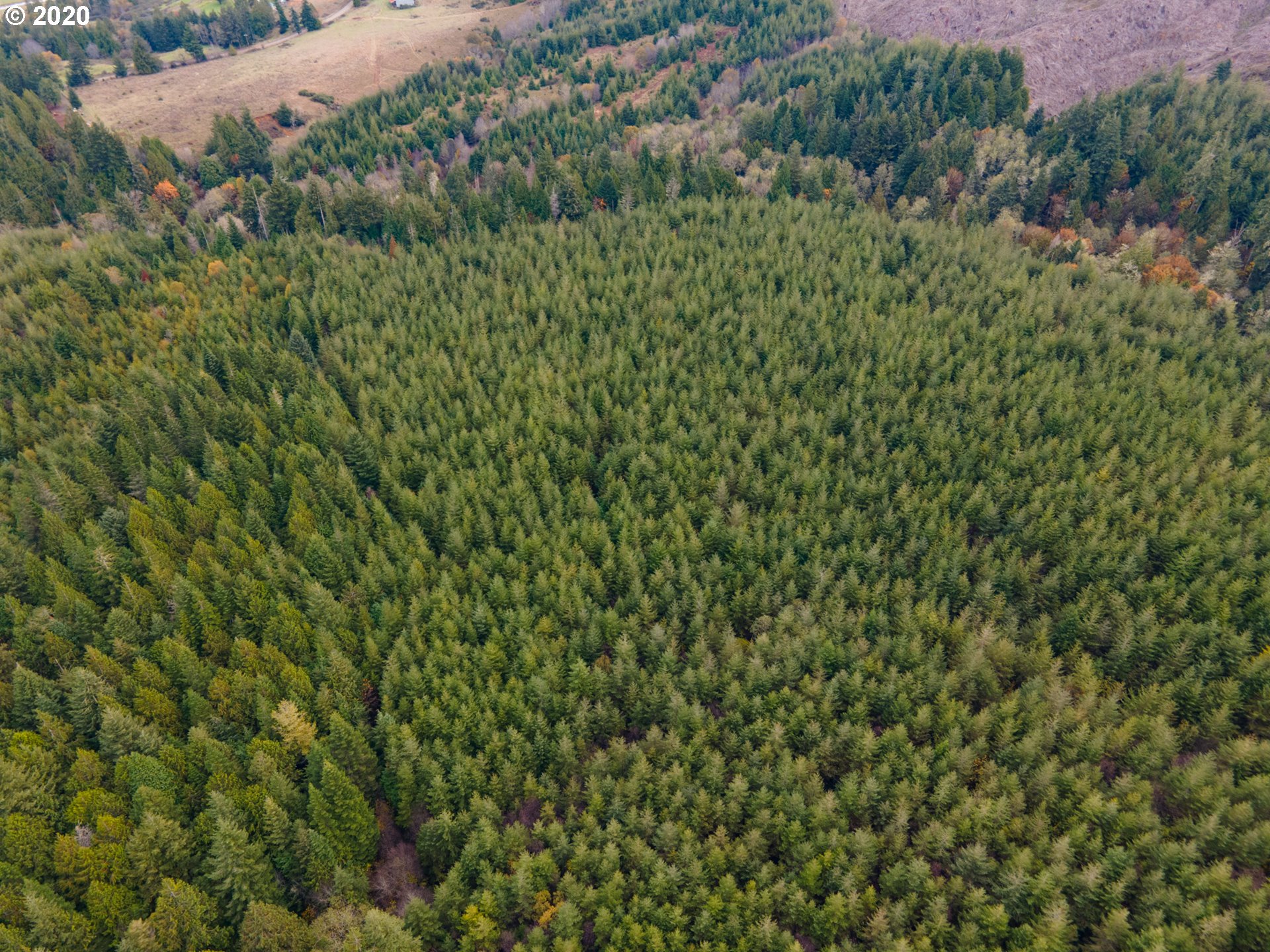 0 Fat Elk Road Coquille, OR 97423 - Photo 10 of 12