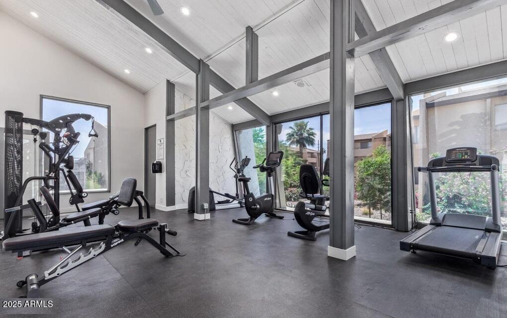 8055 East Thomas Road, Unit C104 Scottsdale, AZ 85251 - Photo 23 of 24 a view of a room with gym equipment