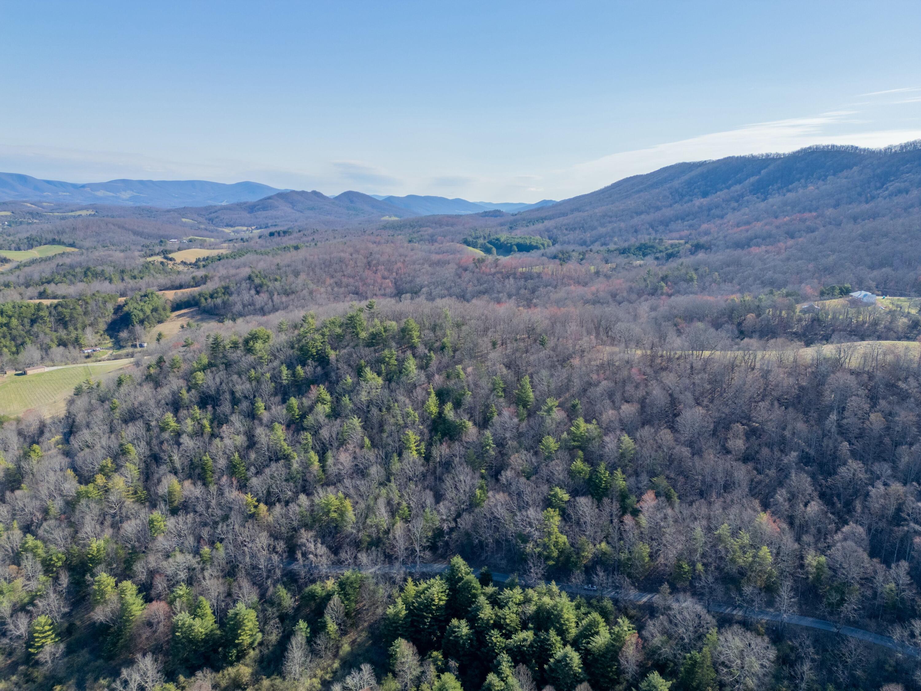 1551 Springdale Road Pearisburg, VA 24134 - Photo 48 of 68 tempImage8i0RSY