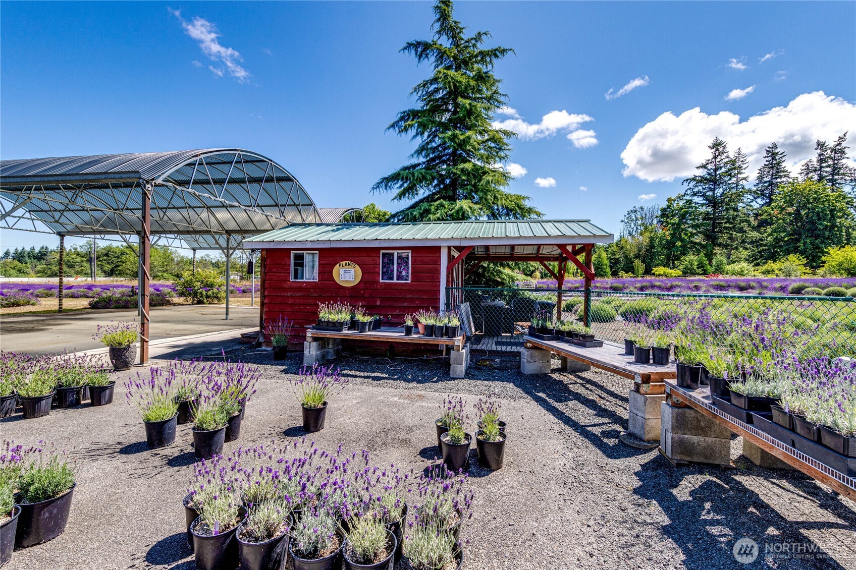 274154 Highway 101 Sequim, WA 98382 - Photo 12 of 39