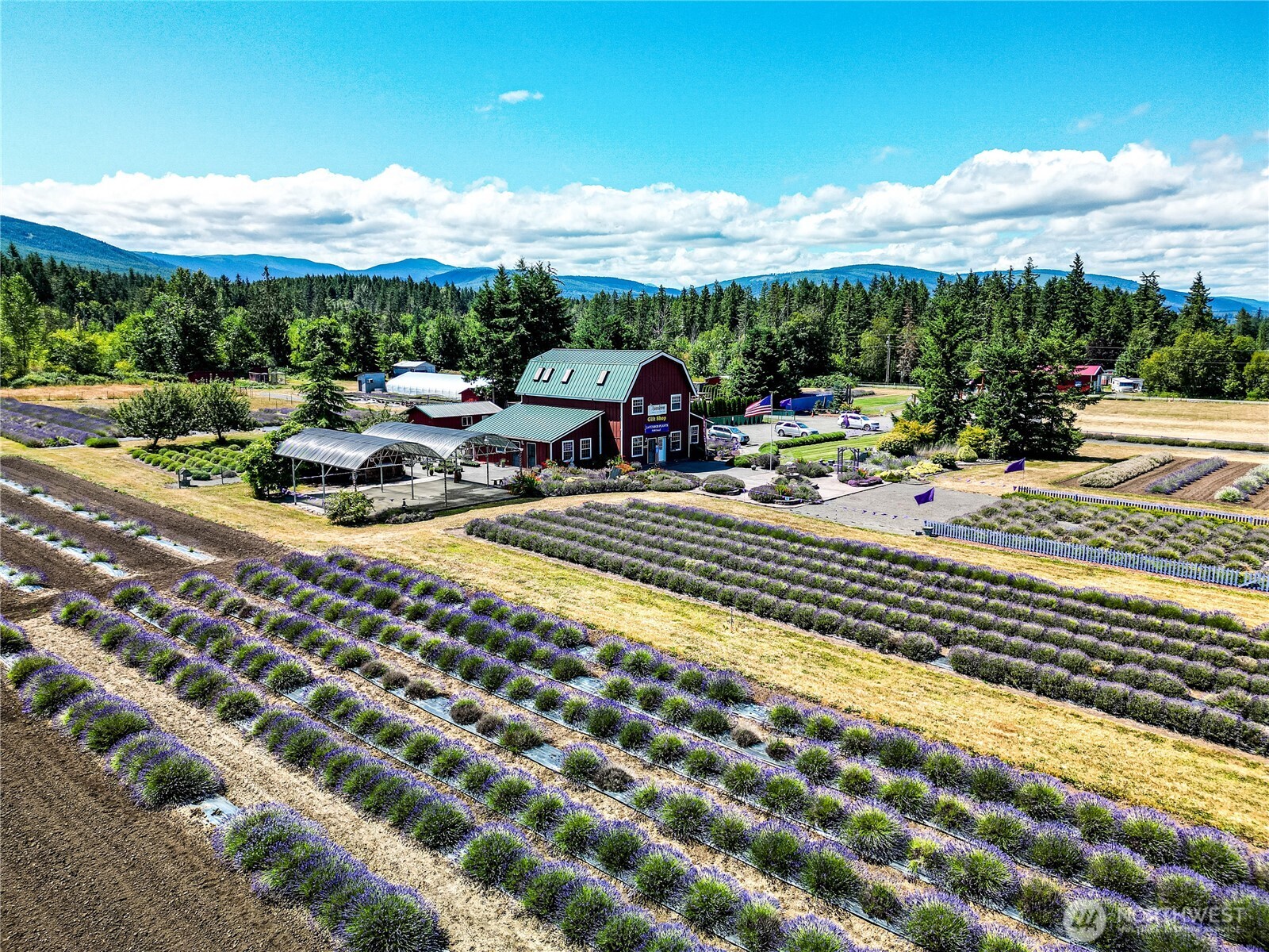 274154 Highway 101 Sequim, WA 98382 - Photo 3 of 39