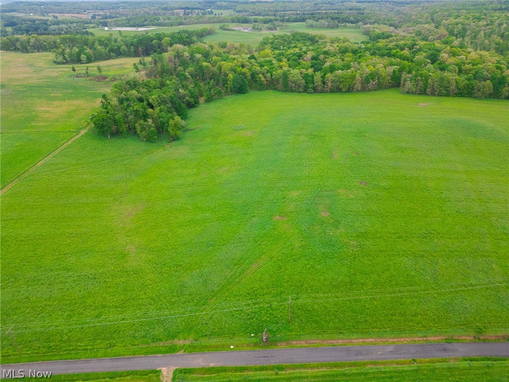 Emerick Road Summitville, OH 43962 - Photo 8 of 47