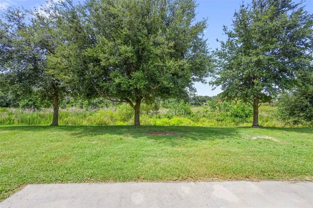 a view of a yard with a trees