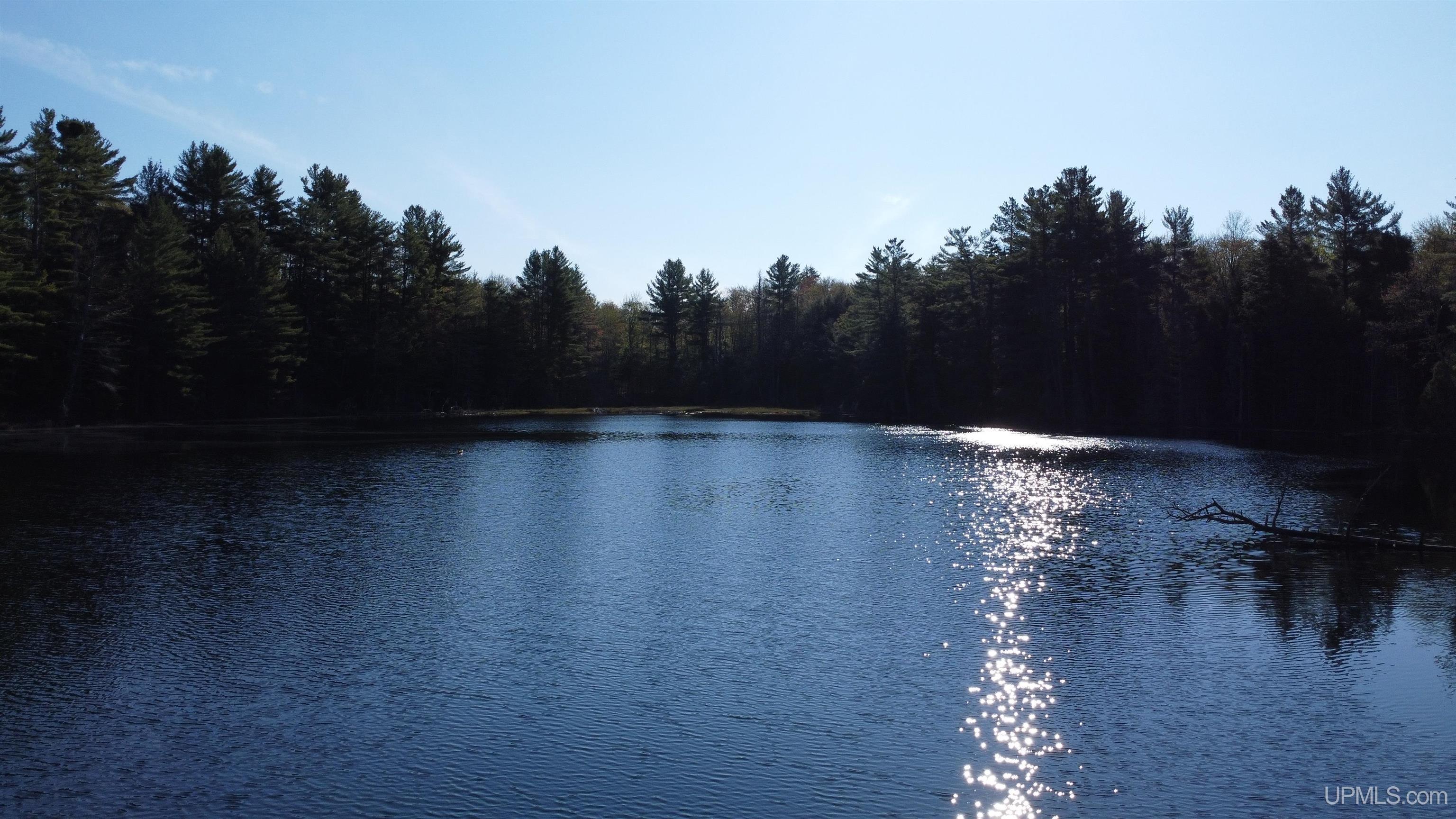 On Wolf Lake Road McMillan, MI 49853 - Photo 28 of 37