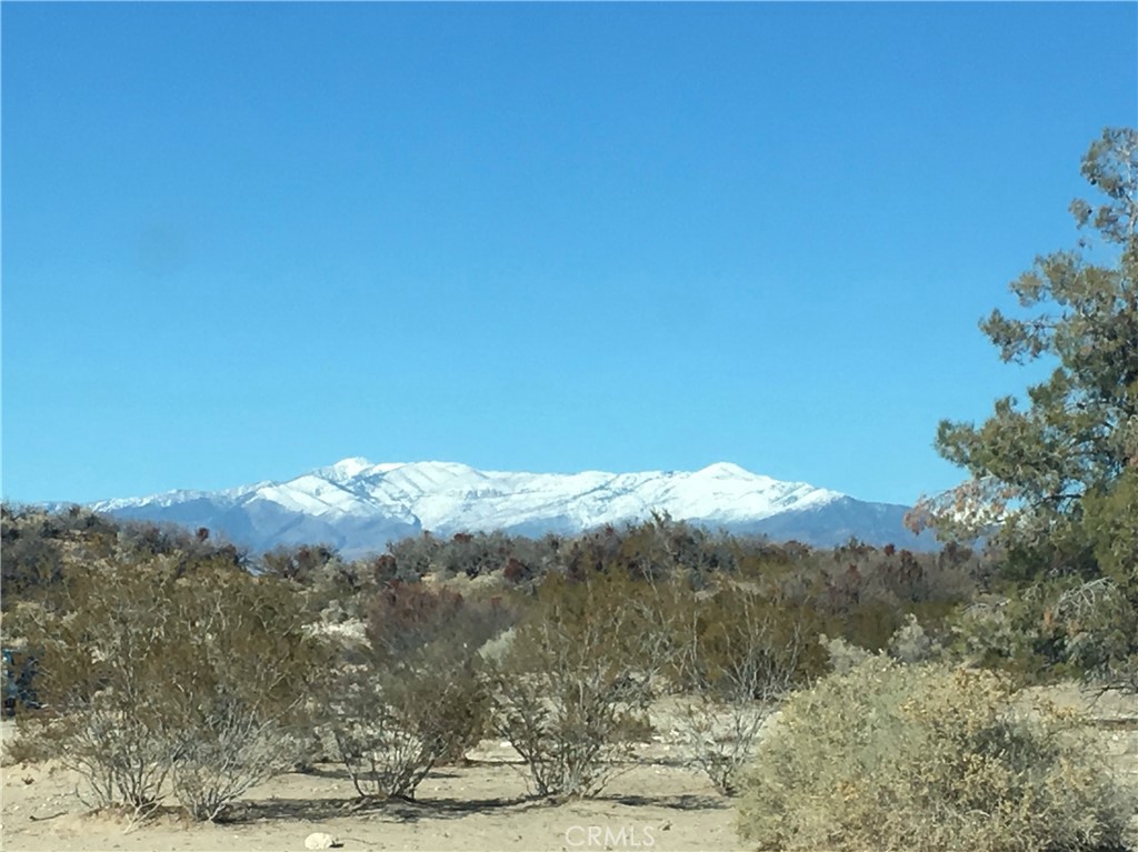 82975 Kingston Road Nipton, CA 92364 - Photo 1 of 1 a view of mountain