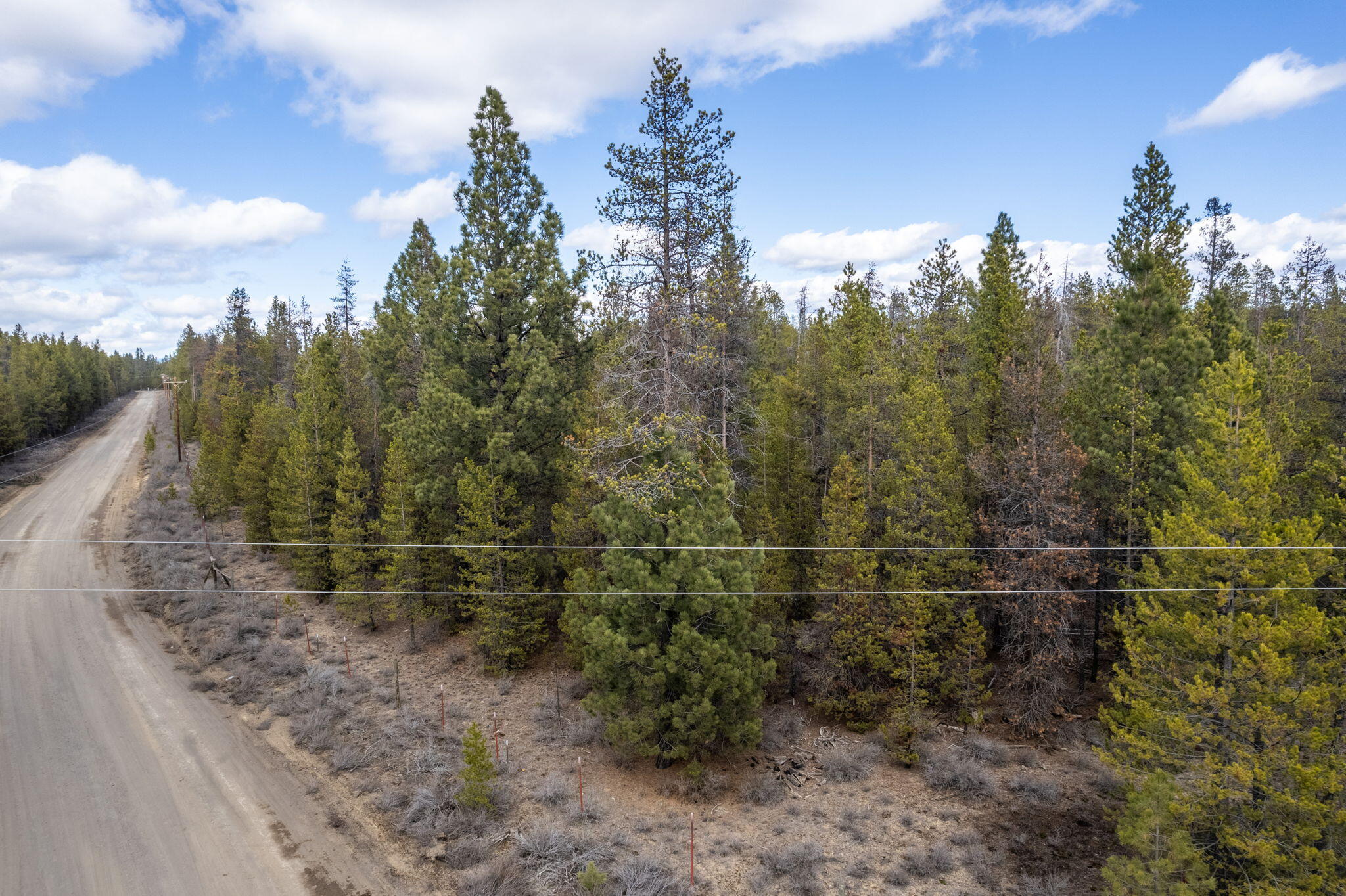 Robert Road, Unit TL La Pine, OR 97739 - Photo 3 of 17 a view of a yard