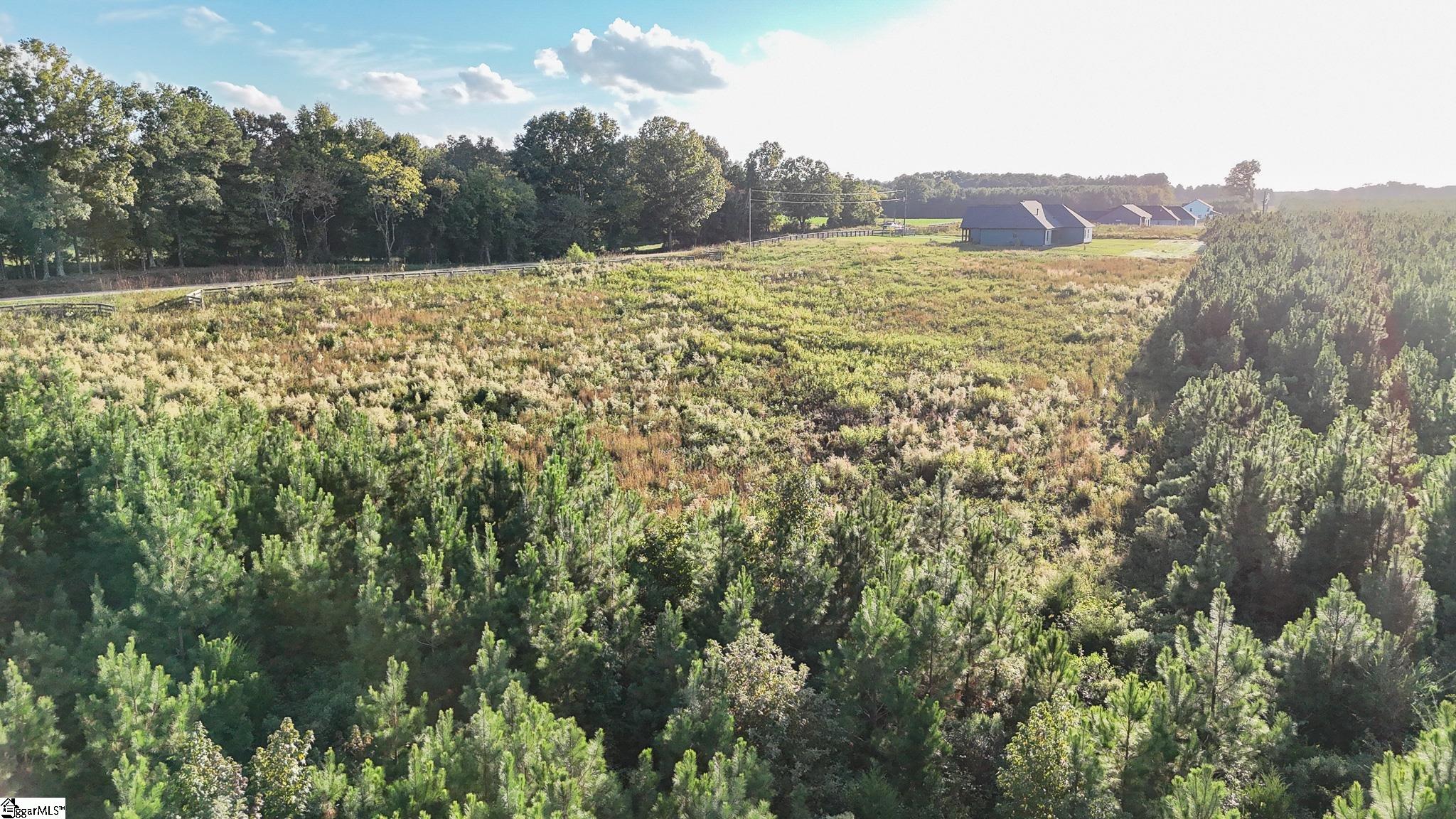 695 Young Road Clinton, SC 29325 - Photo 11 of 26