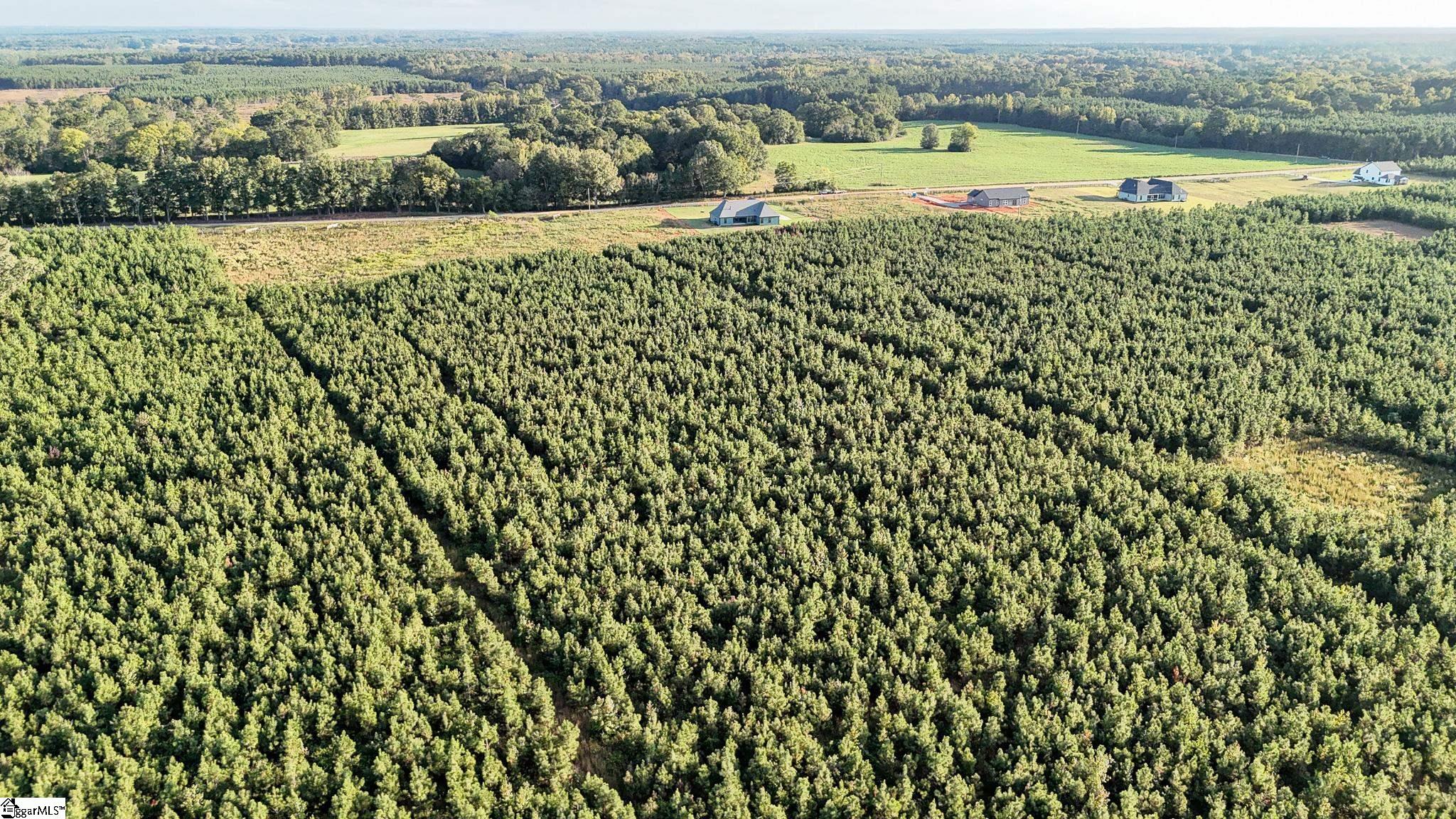 695 Young Road Clinton, SC 29325 - Photo 12 of 26