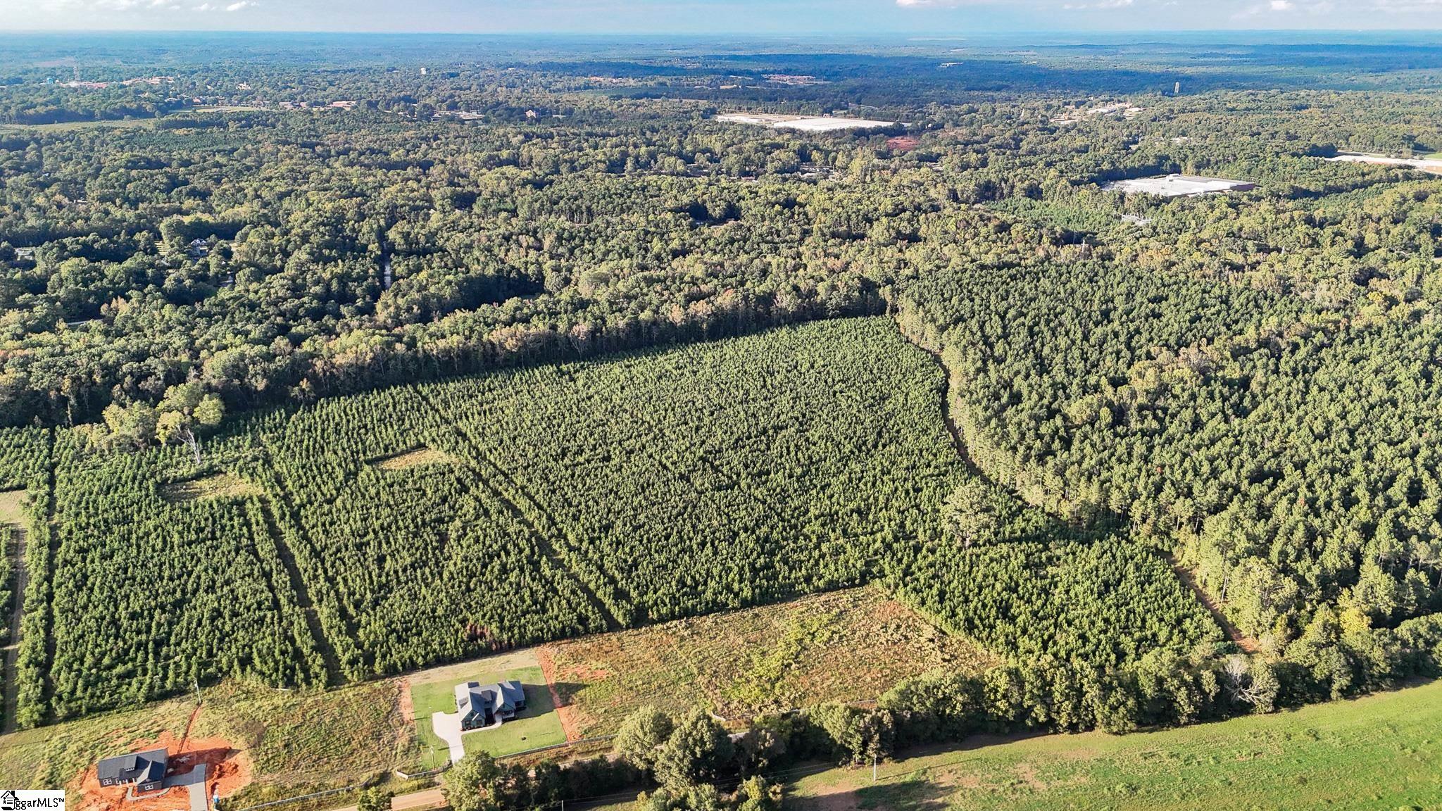 695 Young Road Clinton, SC 29325 - Photo 14 of 26