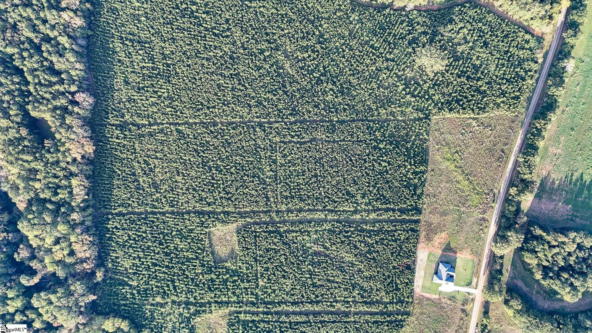 695 Young Road Clinton, SC 29325 - Photo 15 of 26