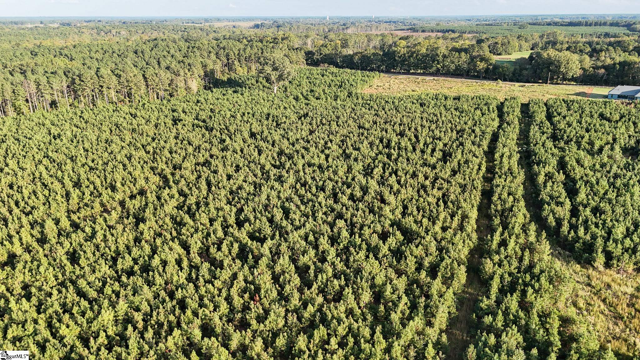 695 Young Road Clinton, SC 29325 - Photo 17 of 26