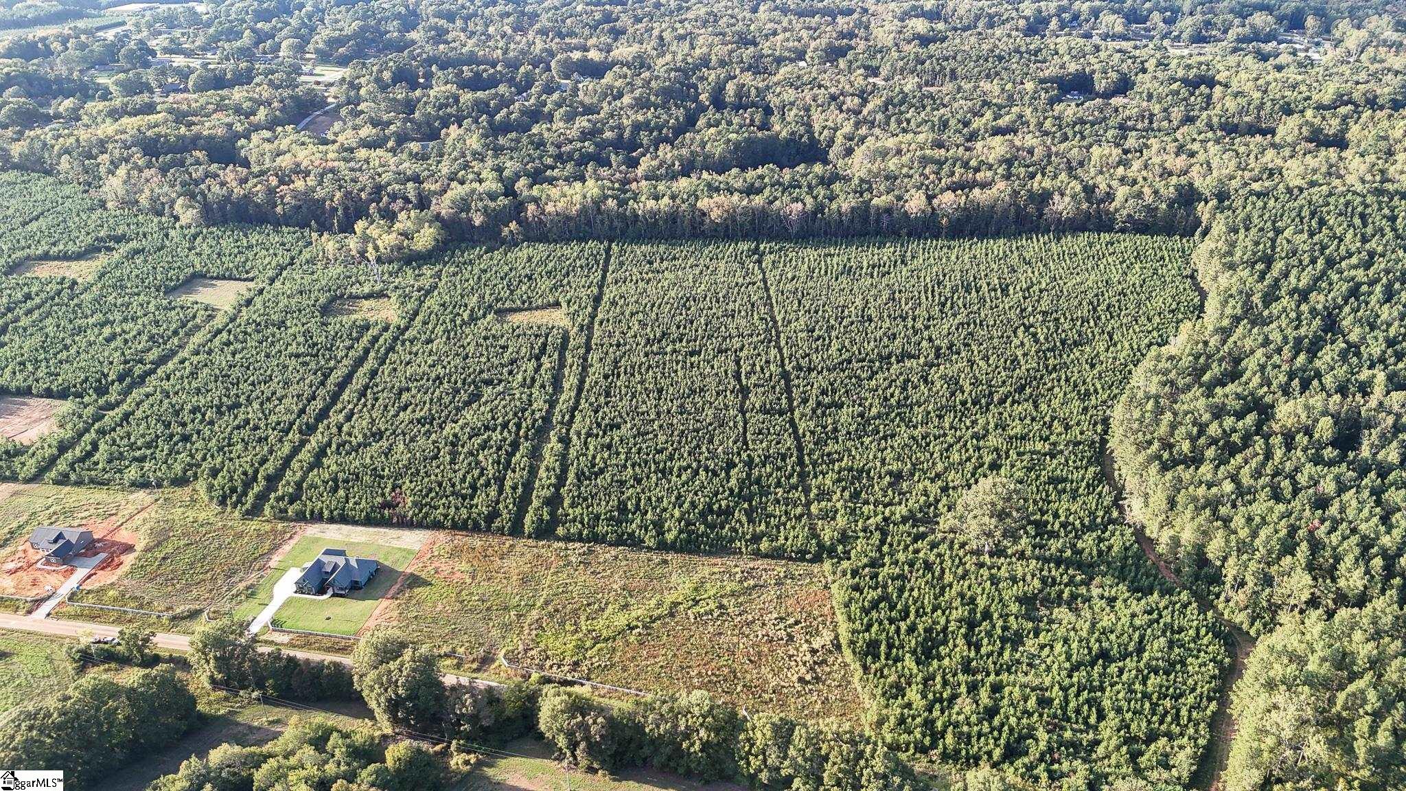 695 Young Road Clinton, SC 29325 - Photo 20 of 26