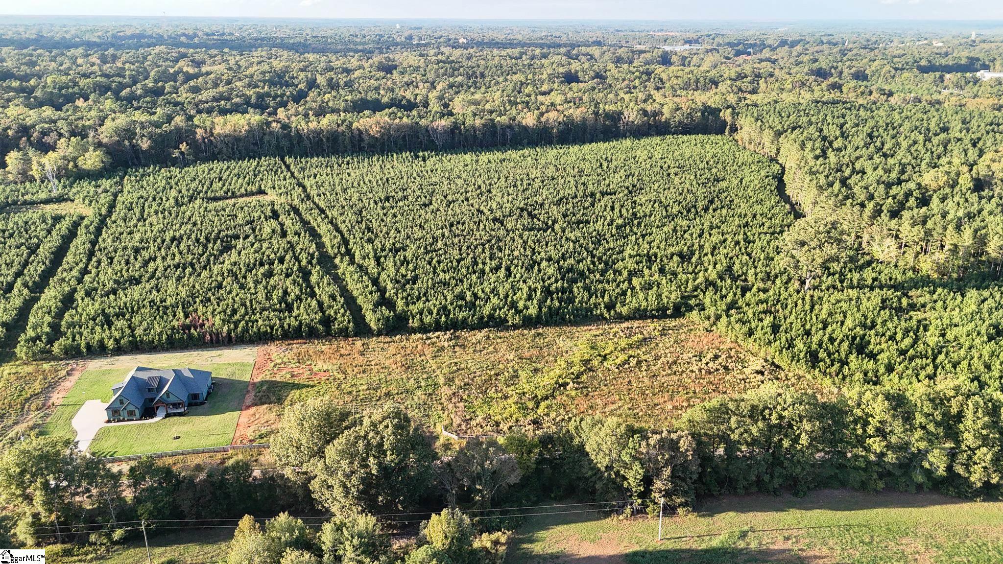 695 Young Road Clinton, SC 29325 - Photo 21 of 26