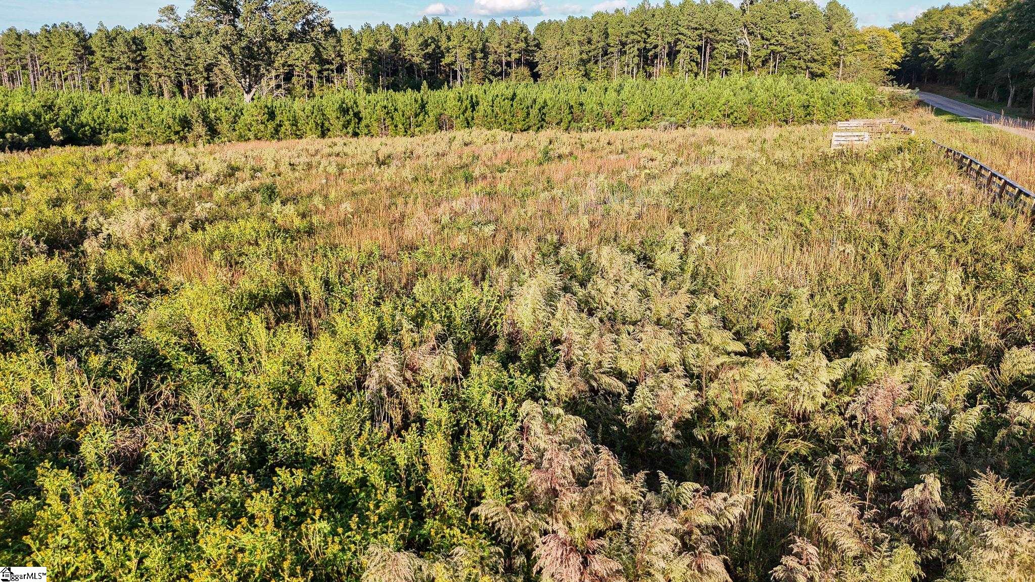 695 Young Road Clinton, SC 29325 - Photo 3 of 26