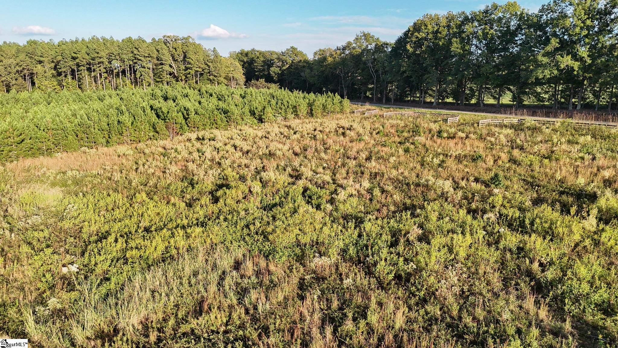 695 Young Road Clinton, SC 29325 - Photo 4 of 26