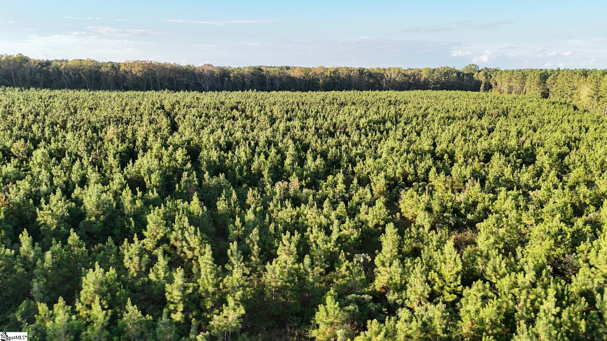 695 Young Road Clinton, SC 29325 - Photo 5 of 26