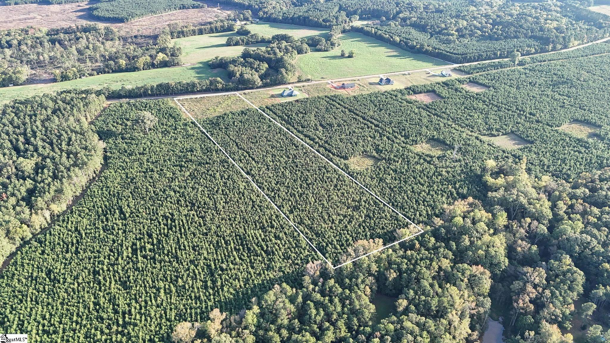 695 Young Road Clinton, SC 29325 - Photo 7 of 26