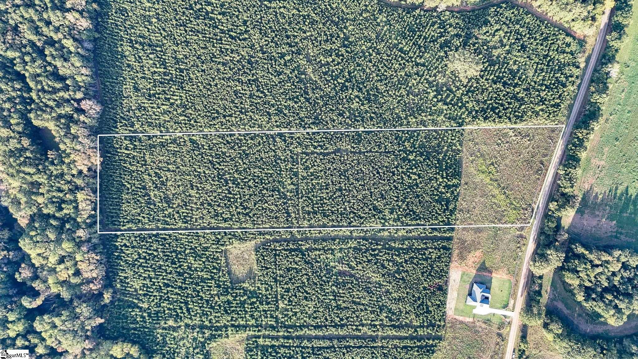 695 Young Road Clinton, SC 29325 - Photo 8 of 26