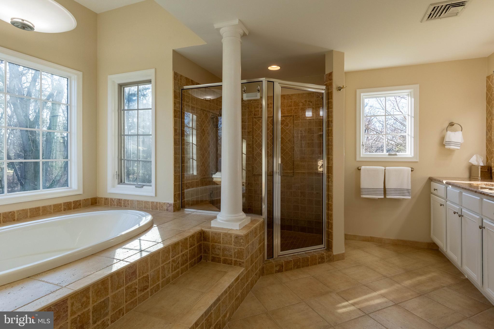 1001 Regency Circle Blue Bell, PA 19422 - Photo 18 of 47 Soaking Tub + Stall Shower