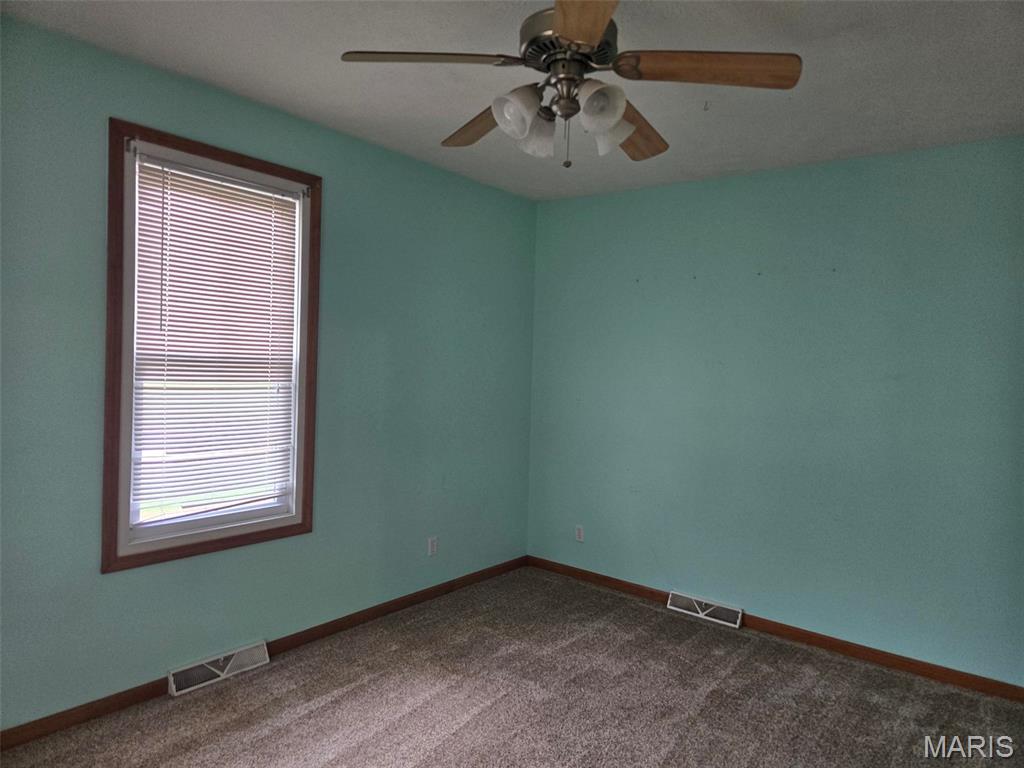 161 West Locust Street Hoyleton, IL 62803 - Photo 3 of 12