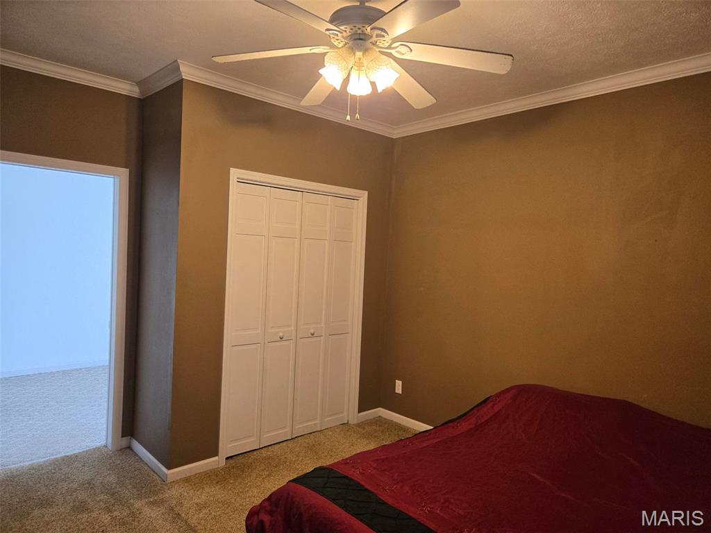 161 West Locust Street Hoyleton, IL 62803 - Photo 6 of 12