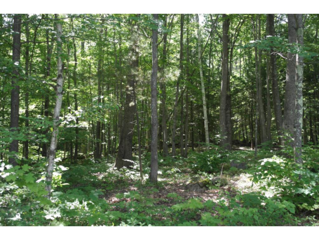 83 Dutile Road Belmont, NH 03220 - Photo 3 of 5