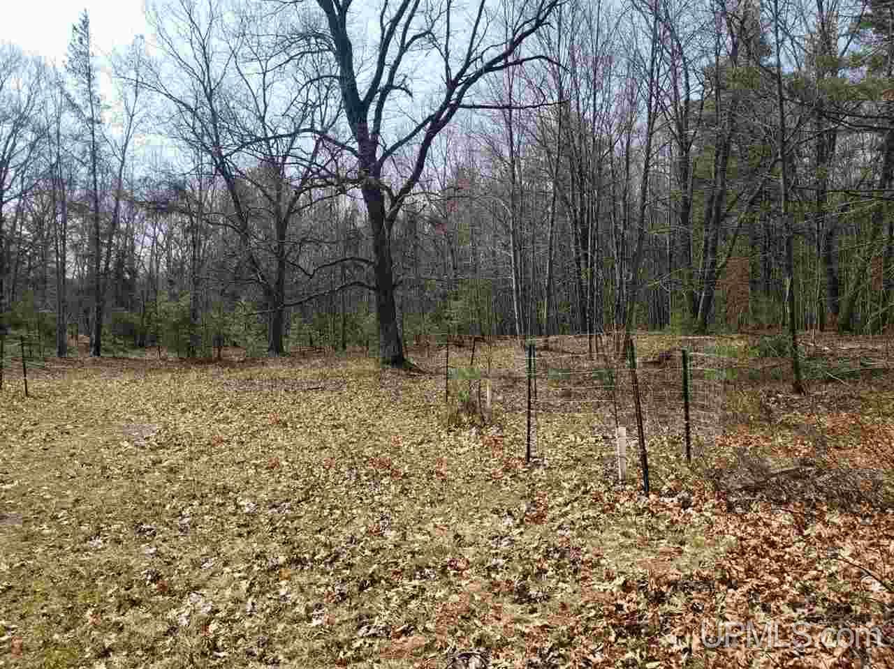 W9498 Co Road Dunbar, WI 54119 - Photo 11 of 59