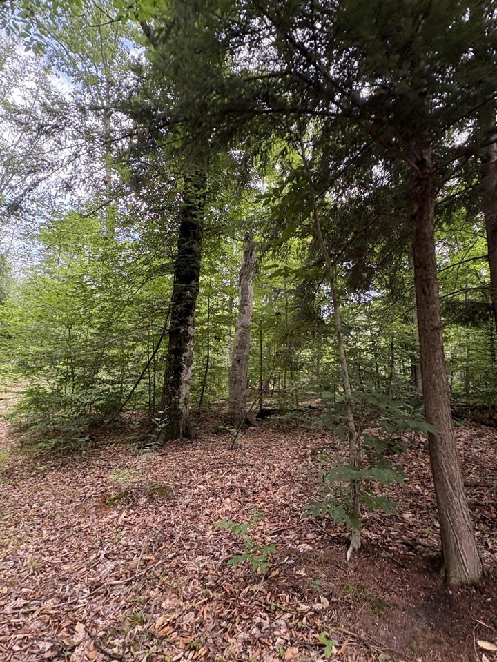 5 5 Mile Road Howard City, MI 49329 - Photo 40 of 99 Gallery Image 40