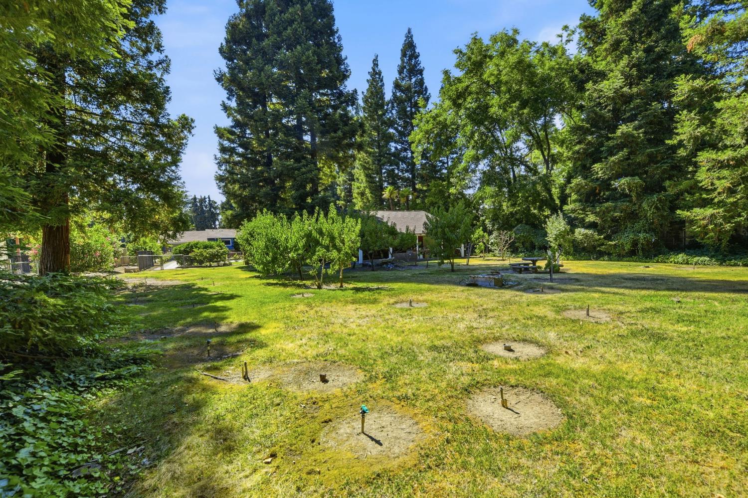 3012 Root Avenue Carmichael, CA 95608 - Photo 64 of 76