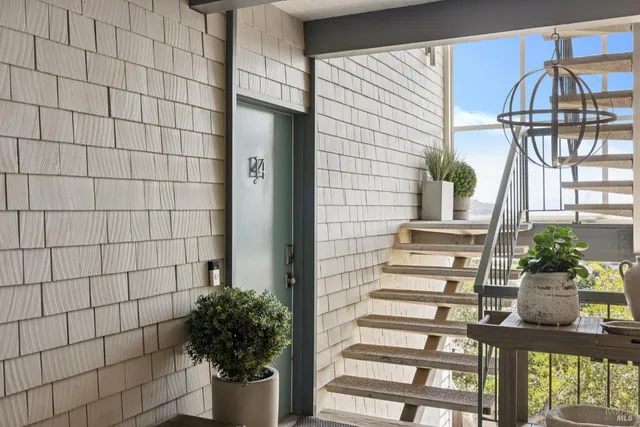 a view of a potted plants next to a building