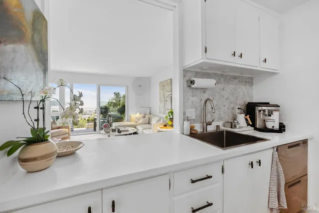 a kitchen with a sink a potted plant and white cabinets