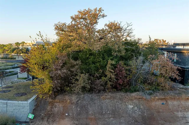 a view of a forest with houses