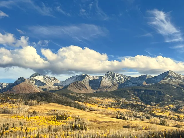 a view of a sky from a yard