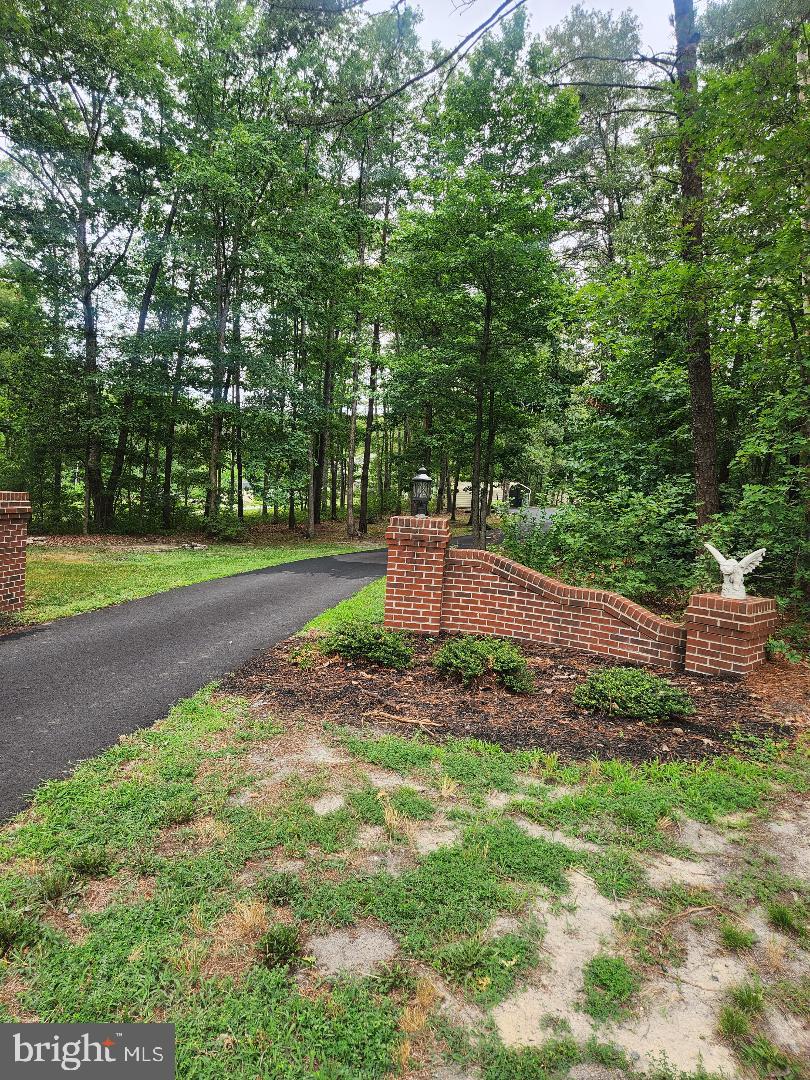 4210 Shepherds Road Partlow, VA 22534 - Photo 5 of 7 Welcoming Walls