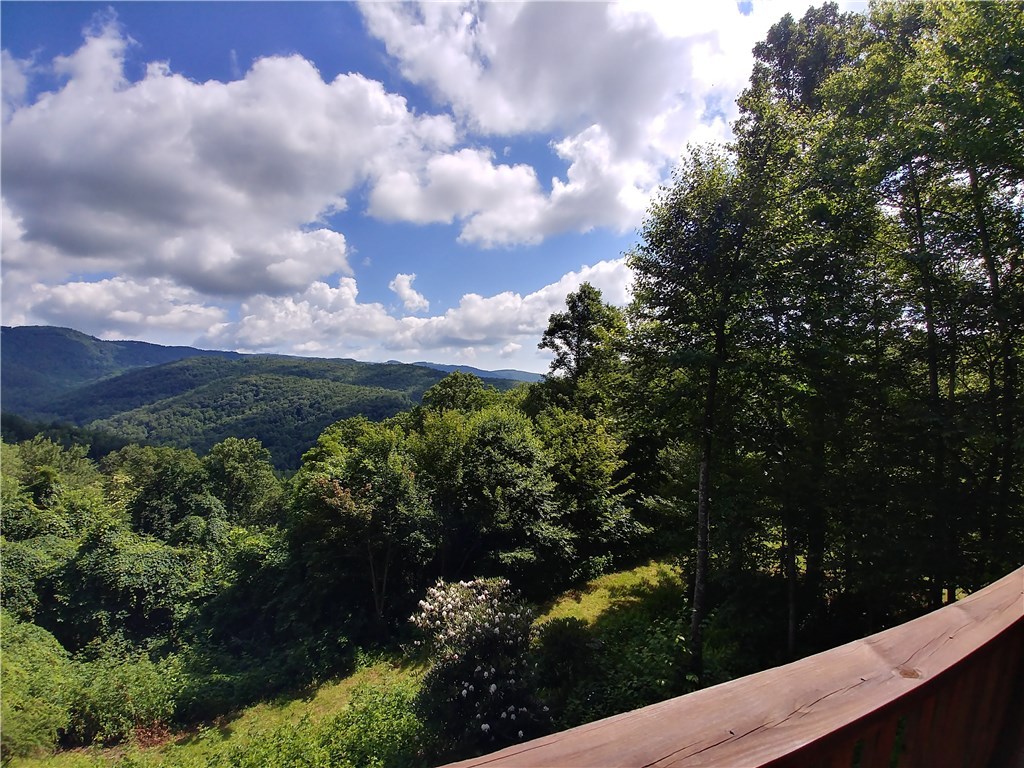 4246 Bolick Road Lenoir, NC 28645 - Photo 19 of 45 Gallery Image 19