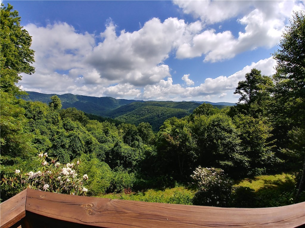 4246 Bolick Road Lenoir, NC 28645 - Photo 43 of 45 Gallery Image 43
