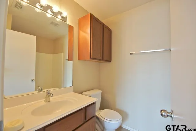 a bathroom with a sink toilet and vanity