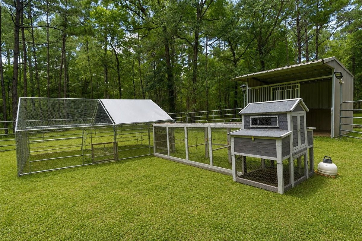 16375 Grand Flower Road Plantersville, TX 77363 - Photo 21 of 50 a view of a house with a yard
