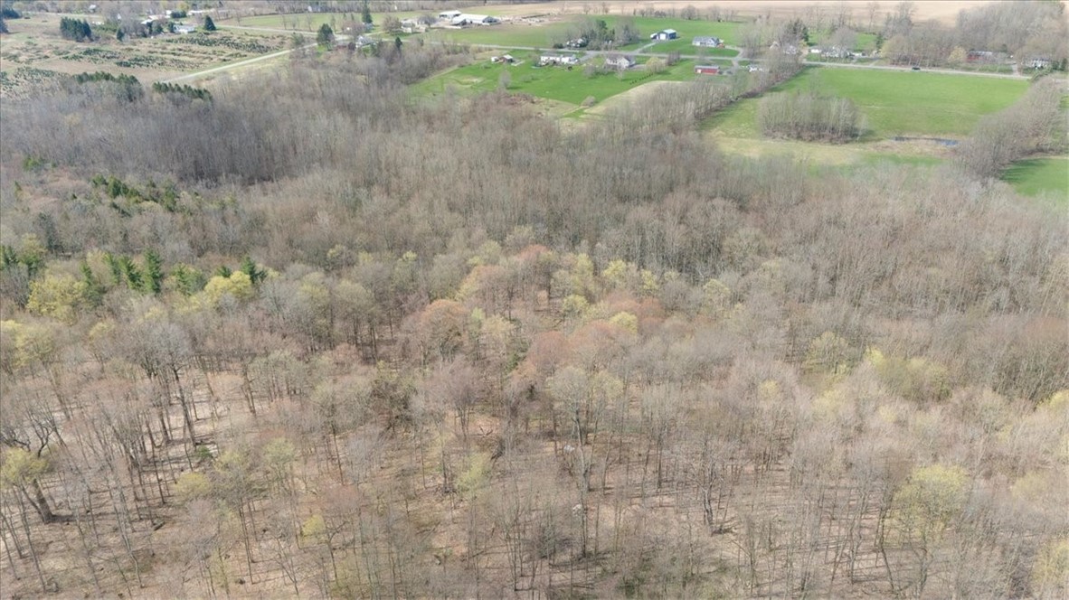 3633 Warner Road Marion, NY 14505 - Photo 10 of 34