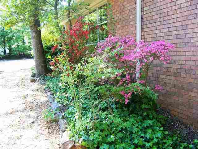 213 Roper Mountain Rd Extension Greenville, SC 29615 - Photo 24 of 25
