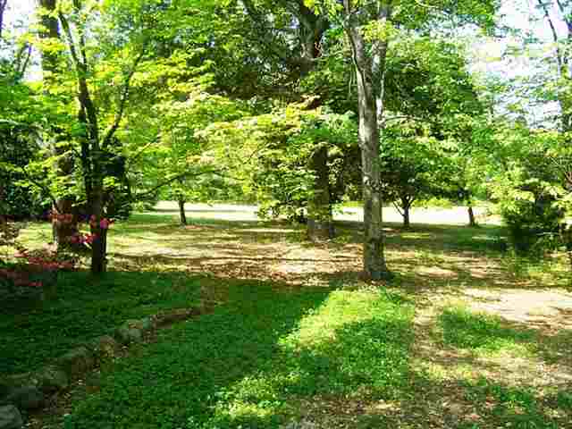 213 Roper Mountain Rd Extension Greenville, SC 29615 - Photo 5 of 25
