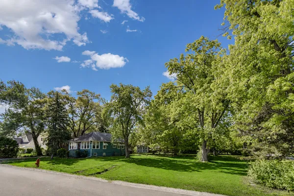 a view of a yard with large trees