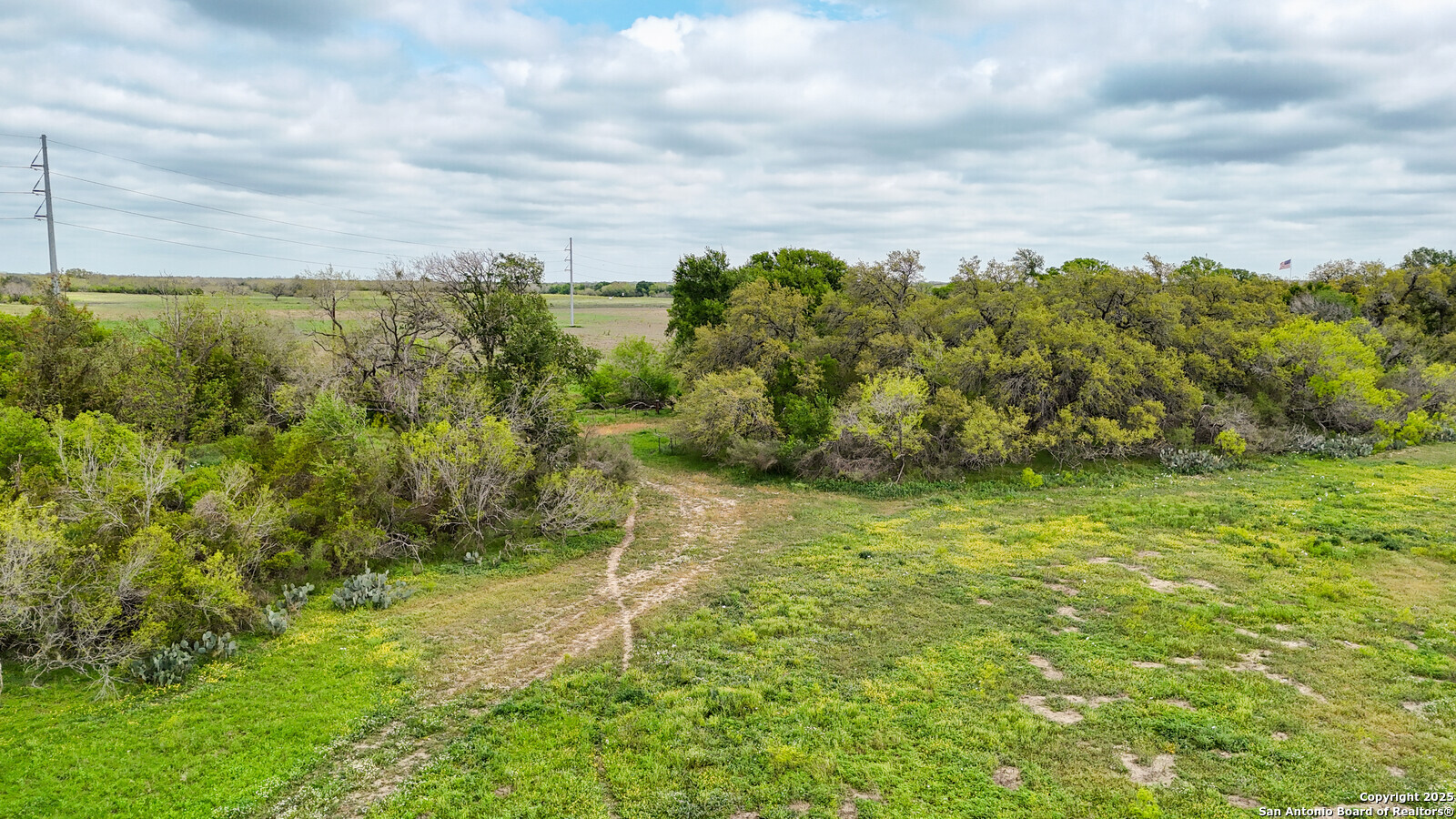 1001 Interstate 35 Austin, TX 78741 - Photo 15 of 17 a view of a big yard with lots of green space