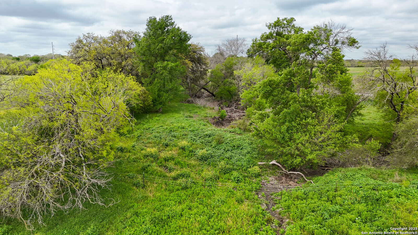 1001 Interstate 35 Austin, TX 78741 - Photo 16 of 17 a view of a lush green space