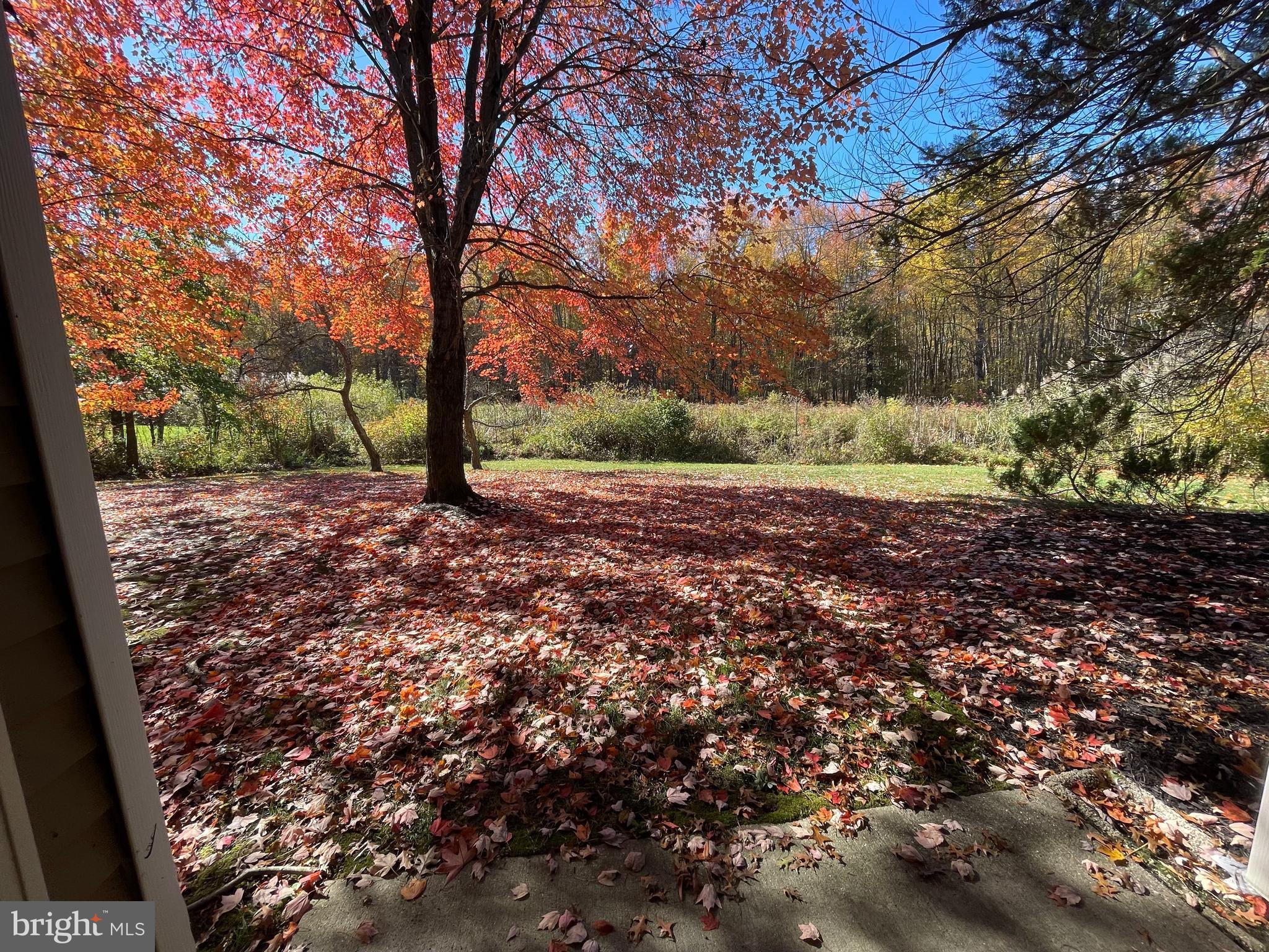 175 Collin Court Mount Laurel, NJ 08054 - Photo 26 of 30