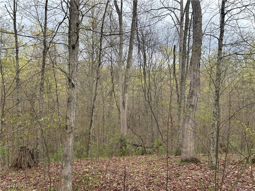 331 Southeast Township Road Corning, OH 43730 - Photo 23 of 27