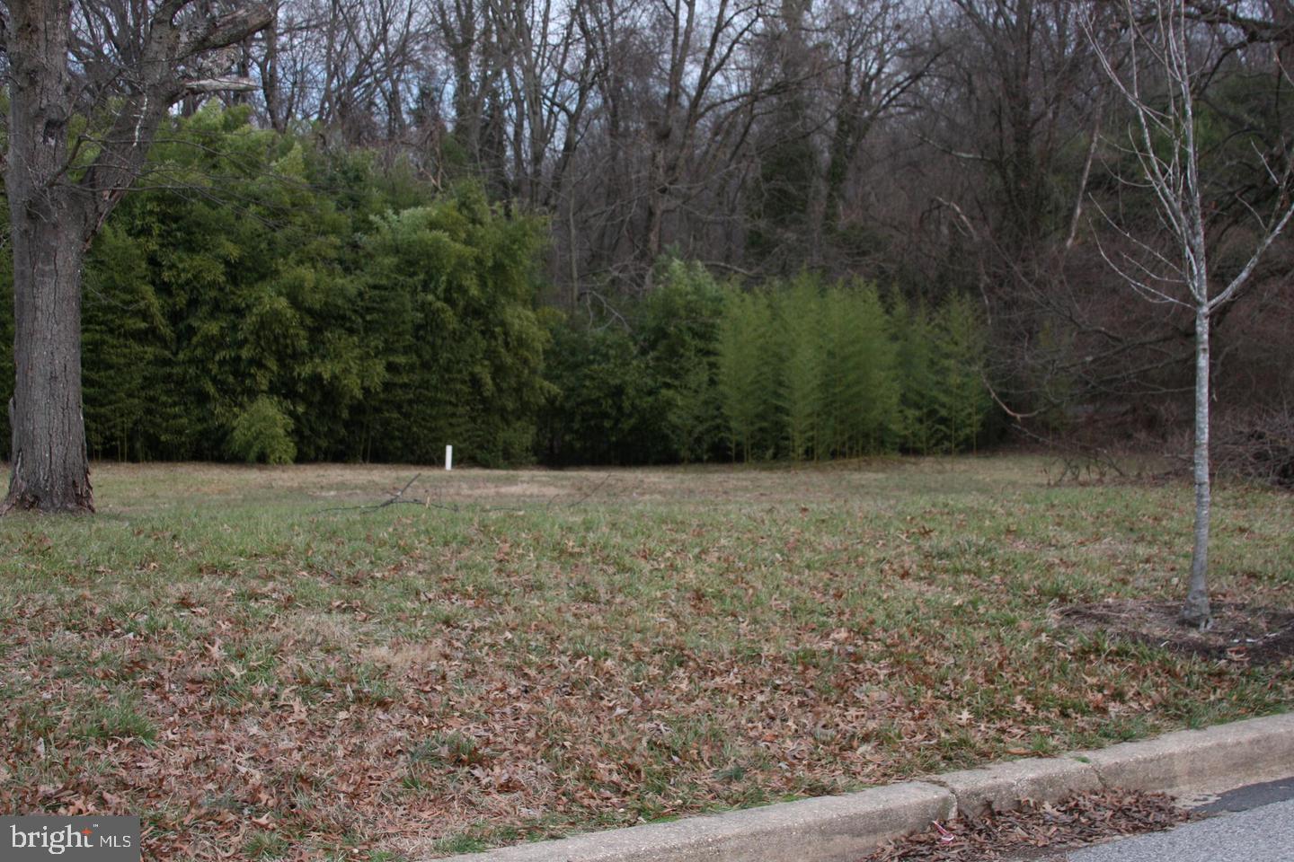 9206 Pleasant Court Laurel, MD 20708 - Photo 3 of 14 Ready to build. All utilities are available.