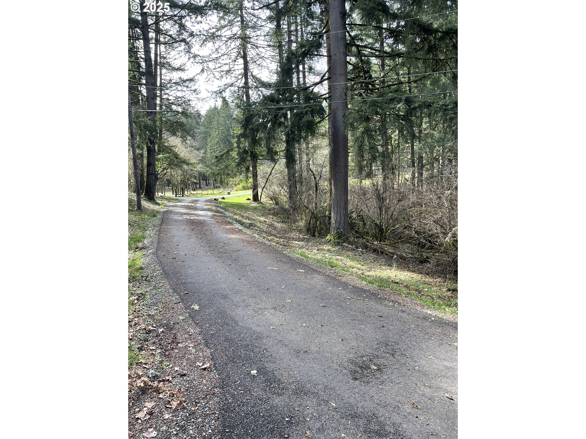 3927 Homestead Road South Salem, OR 97302 - Photo 3 of 45 a view of a yard with trees in the background